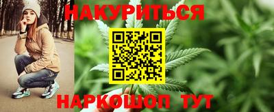 стафф Будённовск